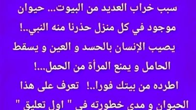 article