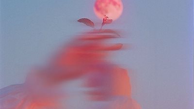 article